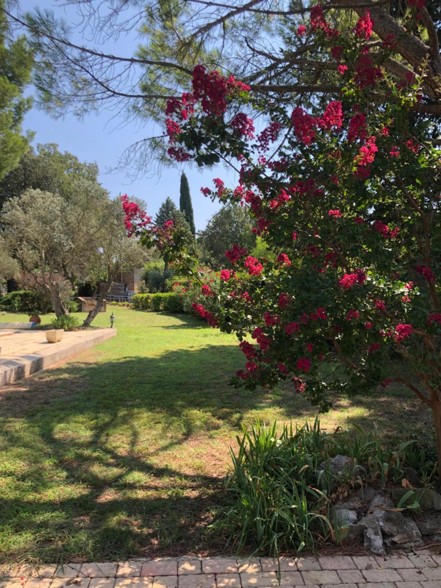 Gite En Provence Dans Grand Jardin Avec Piscine Partagee Cornillon-Confoux Dış mekan fotoğraf